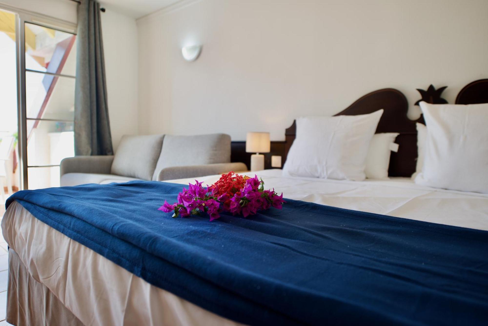 Studio Olia A P&V - Plages, Piscines Et Vue Mer! Sainte-Anne  Ngoại thất bức ảnh